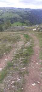 Land for sale, TECJ246415FLO-8