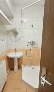 Apartment for rent 2 rooms, APCJ352352-4