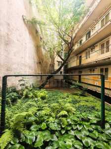 Apartment for sale 2 rooms, APCJ352537-16