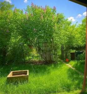 House for sale 4 rooms, CACJ353736-6