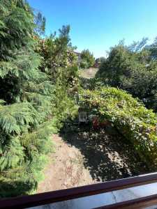 Apartment for rent 4 rooms, APCJ353686-6