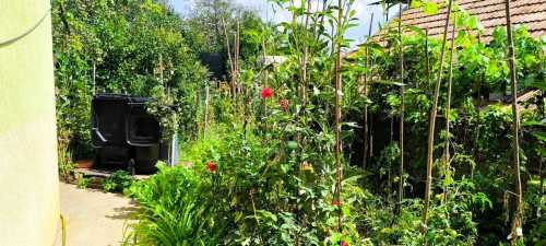 House for sale 3 rooms, CACJ353590-8