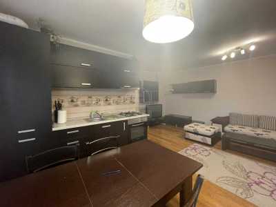 Apartment for rent 3 rooms, APCJ353596-4