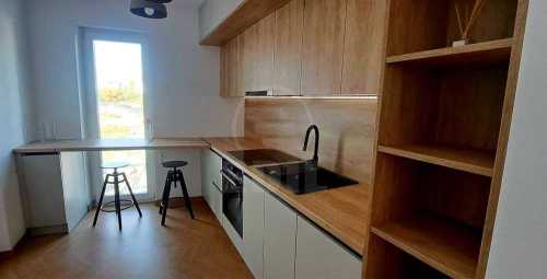 Apartment for rent 2 rooms, APCJ355041-4