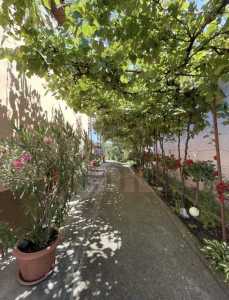 Apartment for rent a room, APCJ354750-8