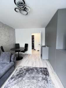 Apartment for rent 2 rooms, APCJ354928-1