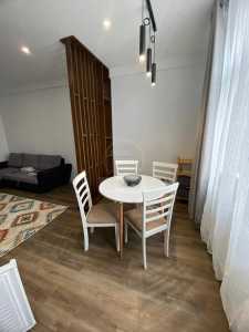 Apartment for rent 2 rooms, APCJ354885-10