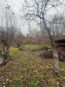 House for rent 4 rooms, CACJ355759-34