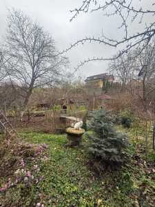 House for rent 4 rooms, CACJ355759-29