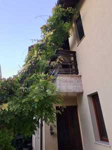 Apartment for rent 3 rooms, APCJ355490-2