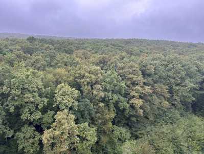 Studio for rent, GACJ355436-8