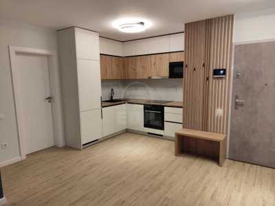 Apartment for rent 2 rooms, APCJ355989-4