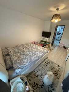 Apartment for rent 2 rooms, APCJ356970-13