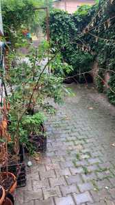 Apartment for rent 3 rooms, APCJ358223-11