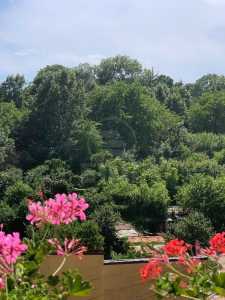 Apartment for sale 3 rooms, APCJ358038-11