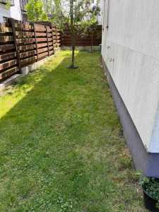 Apartment for rent 3 rooms, APCJ358187-18