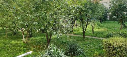 Studio for rent, GACJ358457-8