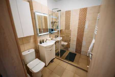 Apartment for rent 2 rooms, APCJ358446-7