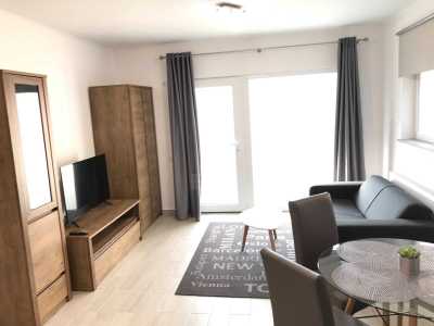 Apartment for rent 2 rooms, APCJ358579-11