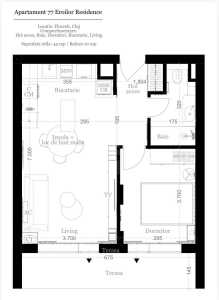 Apartment for sale 2 rooms, APCJ247270FLO-12