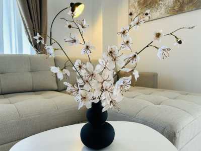 Apartment for rent 2 rooms, APCJ359183-3