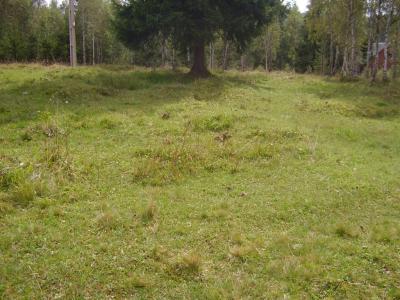 Terrain de vente, TECJ208440FLO-1