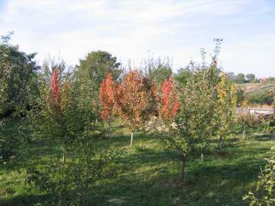 Terrain de vente, TECJ220656-5