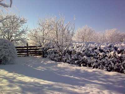 Terrain de vente, TECJ220656-6