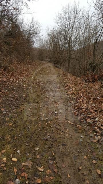 Terrain de vente, TECJ209581FLO-3