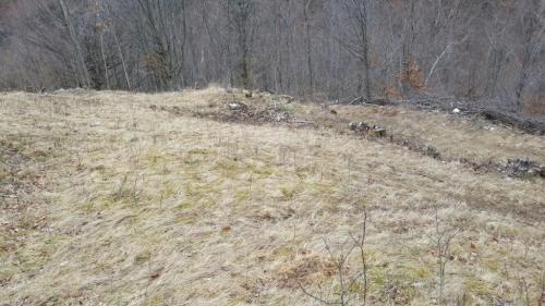 Terrain de vente, TECJ209581FLO-4