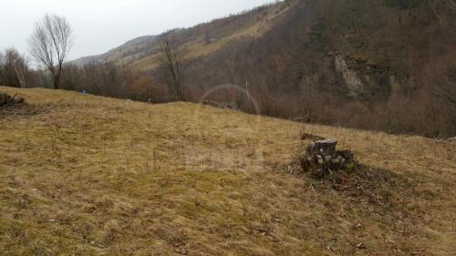 Terrain de vente, TECJ209581FLO-5