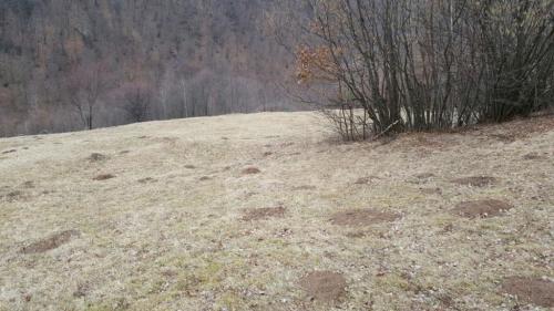 Terrain de vente, TECJ209581FLO-6