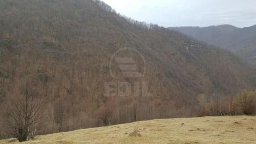 Terrain de vente, TECJ209581FLO-7