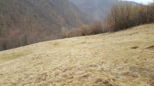 Terrain de vente, TECJ209581FLO-8