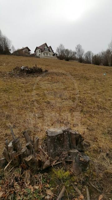 Terrain de vente, TECJ209581FLO-14