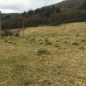 Terrain de vente, TECJ209670FLO-3