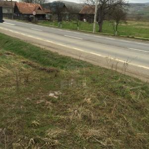 Terrain de vente, TECJ209670FLO-8