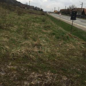 Terrain de vente, TECJ209670FLO-9