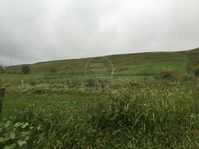 Terrain de vente, TECJ209876FLO-3