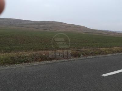 Terrain de vente, TECJ231248FLO-6