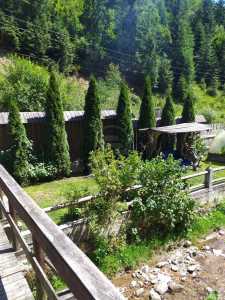 Chalet de vente 9 chambres, CBCJ231598FLO-7