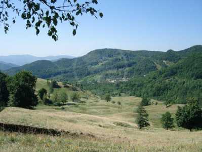 Terrain de vente, TECJ231944FLO-3