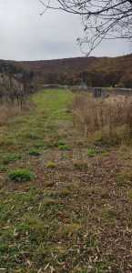 Terrain de vente, TECJ232852FLO-1