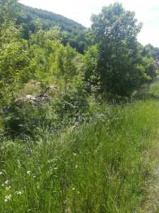 Terrain de vente, TECJ233466FLO-5