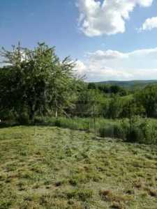 Terrain de vente, TECJ308518-4