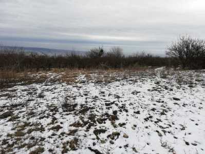 Terrain de vente, TECJ307931-10