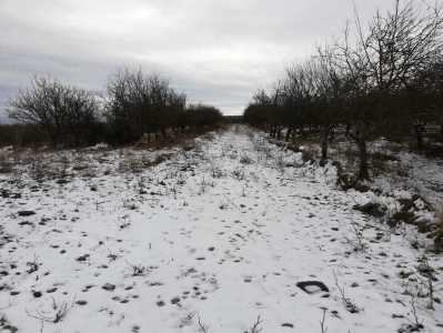 Terrain de vente, TECJ307931-11