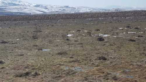 Terrain de vente, TECJ319327-1