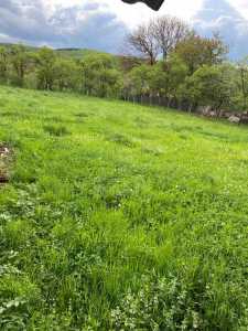 Maison de vente 5 chambres, CACJ239344FLO-9