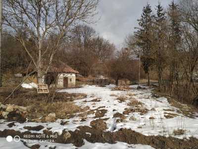 Terrain de vente, TECJ239693FLO-2